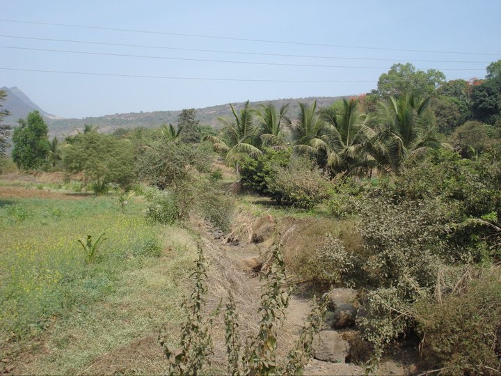 Farm fields with the Sahyadri hills behind